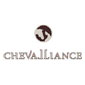 Chevalliance ou le cheval devient thérapeute