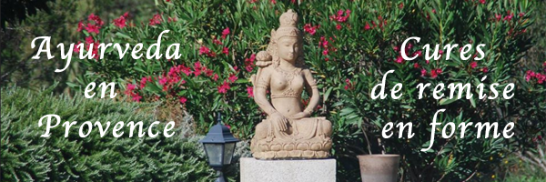 Ayurveda - Cures de remise en forme
