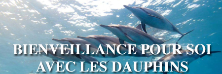 Voyage Bienveillance pour soi avec les dauphins libres (...)