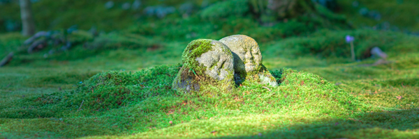 Ateliers de Constellations Familiales Systémiques & (...)