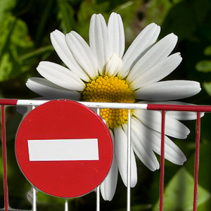 La médecine naturelle en danger : info ou intox (...)