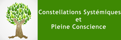 Ateliers Constellations Systémiques et Pleine (...)