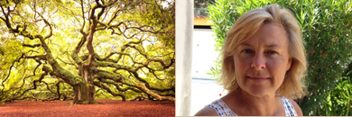 Formation en Constellations Familiales et Systémiques (...)