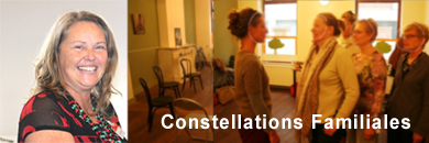 Ateliers de constellations familiales en 2016