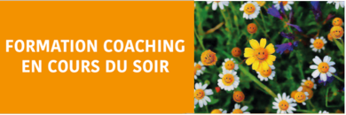 Formation Devenir Coach Evolutif© en cours du (...)