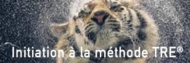 Journée d'initiation à la méthode TRE®