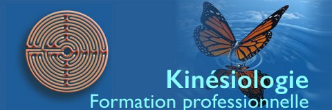 Nouvelle formation professionnelle de kinésiologie. (...)
