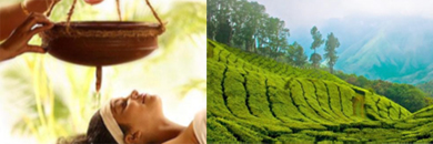 Voyage découverte et Cure au Kerala et Tamil (...)