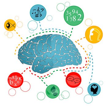 Coaching méthodologique et intelligences multiples