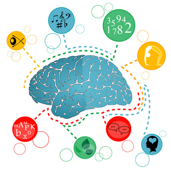 Coaching méthodologique et intelligences multiples