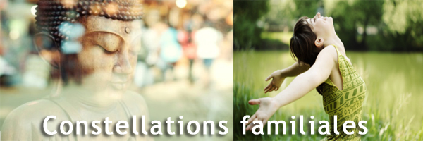 Formation de praticiens en constellations familiales, (...)