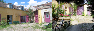 Formation professionnelle aux pratiques de la (...)