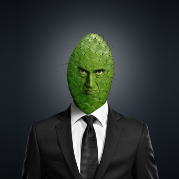 L'agressivité, pas forcément pour le pire !