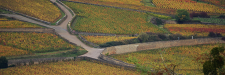 Atelier d'initiation aux Pratiques Narratives