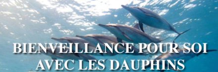 Voyage Bienveillance pour soi avec les dauphins libres (...)