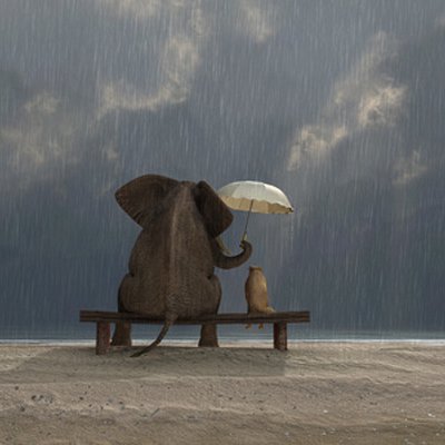 La bientraitance, relation toute en délicatesse (...)