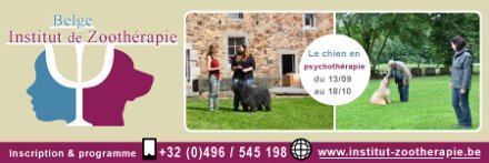 Le chien en psychothérapie : formation courte