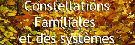 Formation certifiante en Constellations Familiales et (...)