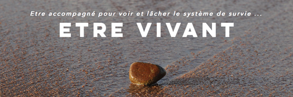 Vives Voies asbl - Groupes Expérientiels à vocation (...)