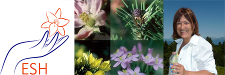 Les élixirs floraux européens : aller plus loin dans les (...)