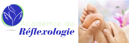 Formation en Réflexologie Plantaire