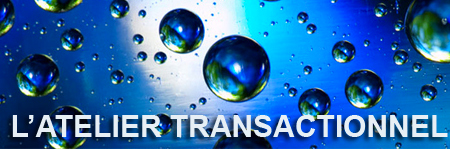 Programme 2020 de l'Atelier Transactionnel