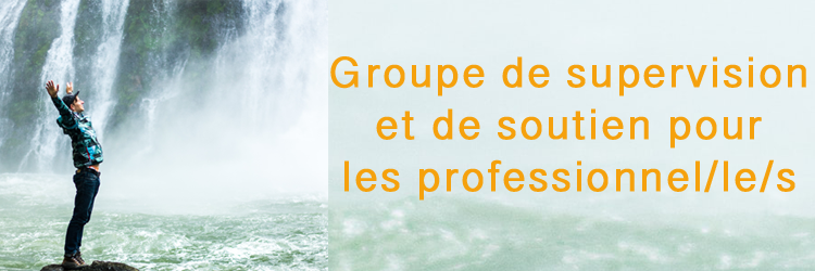 Groupe de supervision et de soutien pour les (...)