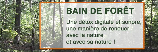 Bain de forêt. Avec Raphael Rozenberg