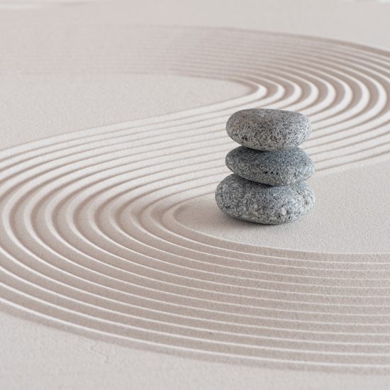 Comment l'utilisation de nos 3 cerveaux nous aide-t-elle (...)