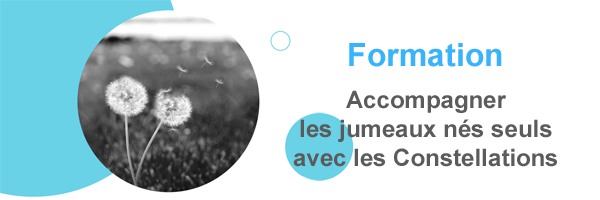Formation : Accompagner les jumeaux nés seuls avec les (...)