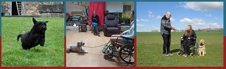 Formation une année en médiation animale