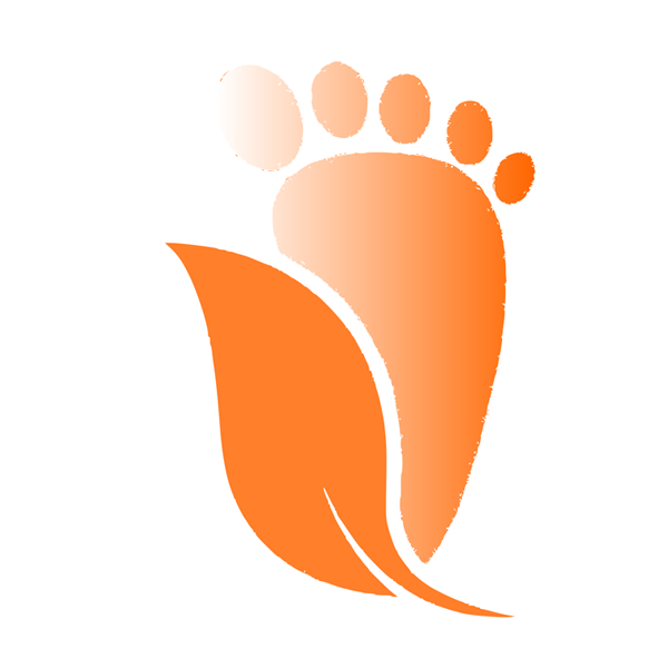 Ecole de la Métaréflexologie