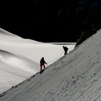 Le lien thérapeutique