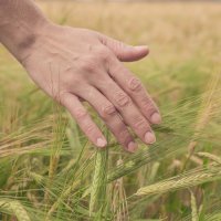 Faut-il vraiment frôler la mort pour prendre conscience de la valeur de la vie ?