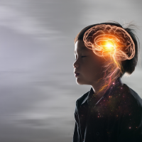 Que se passe t-il dans le cerveau quand on est en état de stress ?