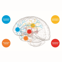 L'Approche Neurocognitive et Comportementale (ANC) pour mieux comprendre et gérer les comportements